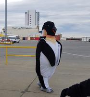 Rundgang durch Punta Arenas 