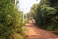 Ochsenkarrenfahrt am Nachmittag