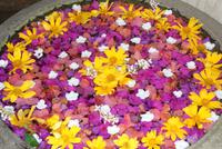 Das Earl's Regency Hotel in Kandy