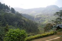 Mittagsstopp am Ramboda Falls Restaurant