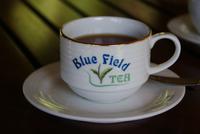 Besuch der Teefabrik Blue Field im Hochland