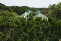 Aussicht vom Hotel am Yala Park
