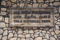 Yala Park