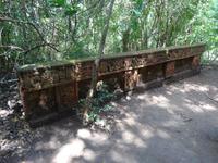 Dschungelspaziergang auf den Spuren der Mayas von Copan