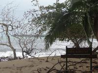 Küstenwanderung im Cahuita-Nationalpark
