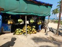 Indien, Kerala, Kovalem, Strand