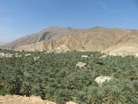 Blick auf Birkat Al Mauz