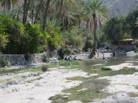 Besuch heißen Quellen von Ain Thowara