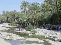 Besuch heißen Quellen von Ain Thowara