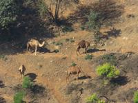 Ausflug ins Qara-Gebirge