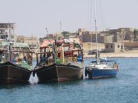 Ausflug in den Osten Dhofars - Mirbat - Hafen