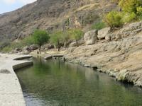 Ausflug in den Osten Dhofars - Besuch der Quellen von Ain Razat