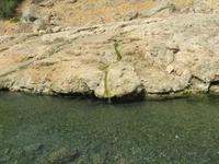 Ausflug in den Osten Dhofars - Besuch der Quellen von Ain Razat