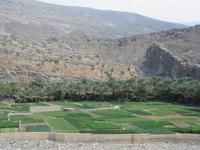 Ghul - altes Lehmdorf