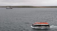 Falkland Insel