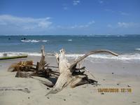 Cahuita Nationalpark