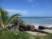 Cahuita Nationalpark