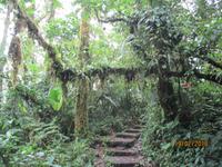 Santa Elena Nationalpark