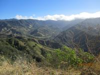 Monteverde