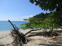 Manuel Antonio Nationalpark