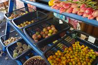 Penang Ausflug - Fruchtplantage