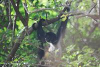 Nationalpark Cañón del Sumidero