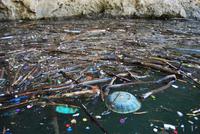 Nationalpark Cañón del Sumidero