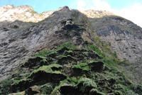 Nationalpark Cañón del Sumidero - Tannenbaum