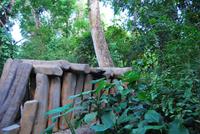 Museumspark La Venta in Villa Hermosa