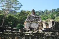 Archäologische Zone Palenque