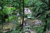 Archäologische Zone Palenque