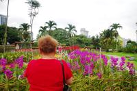 Kuala Lumpur Bird & Orchideen Park