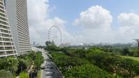 Singapur, Blick vom Übergang zum Garten (Garden by the Bay)