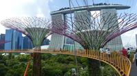 Singapur, Skyway im Gardens by the Bay