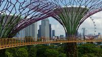 Singapur, Skyway im Gardens by the Bay