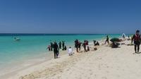 Schnorcheln bei Michaelmas Cay
