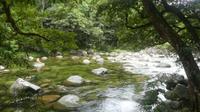 Daintree Nationalpark, Mossman Gorge