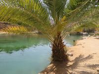 Wadi Bani Khalid