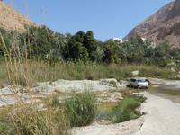 Wadi Tiwi