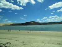 Auf dem Weg nach Paihia