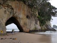 Cathedral Cove an der Coromandel Peninsula der Nordinsel Neuseelands