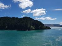 Fähre von Wellington (Nordinsel) nach Picton (Südinsel) - Neuseeland