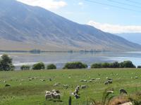 Auf dem Weg zum Moeraki Boulders, Südinsel Neuseeland