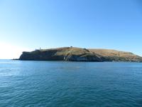 Otago Halbinsel bei Dunedin - Südinsel Neuseeland