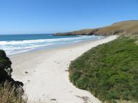 Otago Halbinsel bei Dunedin - Südinsel Neuseeland