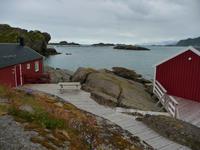 Robustatles, Mortsund