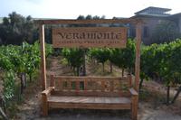 Weingut Veramonte im Casablanca-Tal