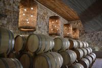 Ausflug ins Elqui-Tal - Pisco-Destillerie