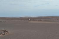 Arica - Atacama-Wüste