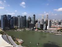 Australien-Neuseeland Auswahl 2018